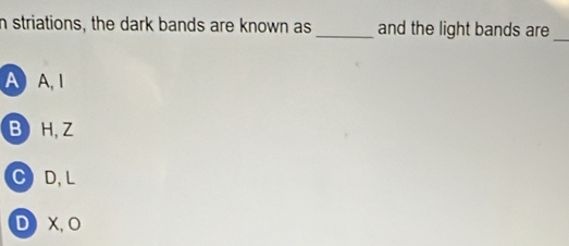 striations, the dark bands are known as_ and the light bands are_
A A I
B H, Z
CD, L
D) X, O