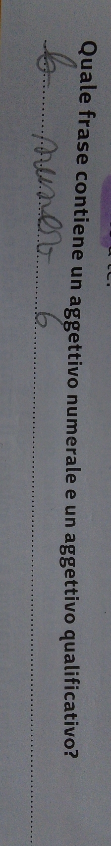 Quale frase contiene un aggettivo numerale e un aggettivo qualificativo? 
_