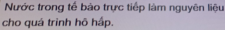 Nước trong tế bào trực tiếp làm nguyên liệu 
cho quá trình hô hấp.