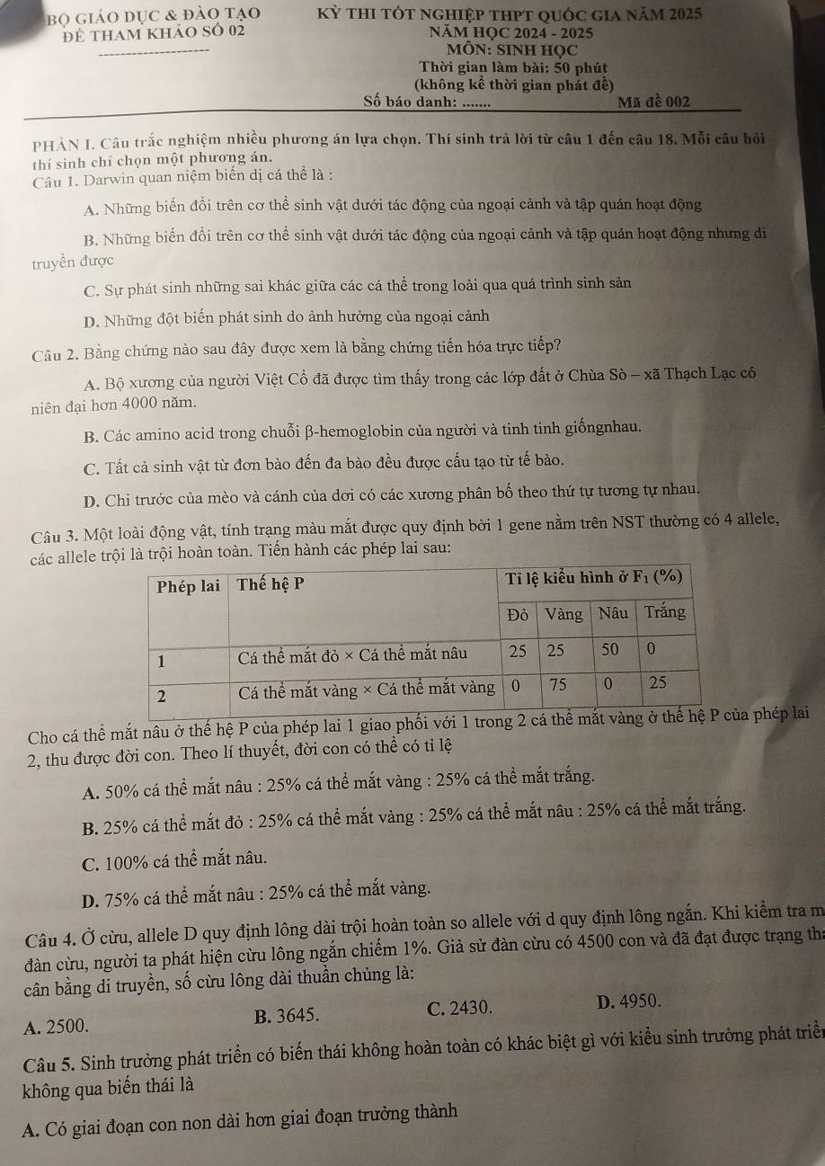 bọ giáo dục & đào tạo Kỳ thI tót nghiệp thPT quỚc gia năm 2025
để tham khảo số 02  NÄM HỌC 2024 - 2025
_
MÔN: SINH HọC
Thời gian làm bài: 50 phút
(không kể thời gian phát đề)
Số báo danh:          Mã đề 002
PHẢN I. Câu trắc nghiệm nhiều phương án lựa chọn. Thí sinh trã lời từ câu 1 đến câu 18. Mỗi câu hồi
thí sinh chỉ chọn một phương án.
Câu 1. Darwin quan niệm biến dị cá thể là :
A. Những biến đồi trên cơ thể sinh vật dưới tác động của ngoại cảnh và tập quán hoạt động
B. Những biến đồi trên cơ thể sinh vật dưới tác động của ngoại cảnh và tập quán hoạt động nhưng di
truyền được
C. Sự phát sinh những sai khác giữa các cá thể trong loài qua quá trình sinh sản
D. Những đột biến phát sinh do ảnh hưởng của ngoại cảnh
Câu 2. Bằng chứng nào sau đây được xem là bằng chứng tiến hóa trực tiếp?
A. Bộ xương của người Việt Cổ đã được tìm thấy trong các lớp đất ở Chùa Sò - xã Thạch Lạc có
niên đại hơn 4000 năm.
B. Các amino acid trong chuỗi β-hemoglobin của người và tinh tinh giốngnhau.
C. Tất cả sinh vật từ đơn bào đến đa bào đều được cấu tạo từ tế bào.
D. Chi trước của mèo và cánh của dơi có các xương phân bố theo thứ tự tương tự nhau.
Câu 3. Một loài động vật, tính trạng màu mắt được quy định bởi 1 gene nằm trên NST thường có 4 allele,
các allele trội là trội hoàn toàn. Tiến hành các phép lai sau:
Cho cá thể mắt nâu ở thế hệ P của phép lai 1 giao phối với 1 ta phép lai
2, thu được đời con. Theo lí thuyết, đời con có thể có tỉ lệ
A. 50% cá thể mắt nâu : 25% cá thể mắt vàng : 25% cá thể mắt trắng.
B. 25% cá thể mắt đỏ : 25% cá thể mắt vàng : 25% cá thể mắt nâu : 25% cá thể mắt trắng.
C. 100% cá thể mắt nâu.
D. 75% cá thể mắt nâu : 25% cá thể mắt vàng.
Câu 4. Ở cừu, allele D quy định lông dài trội hoàn toàn so allele với d quy định lông ngắn. Khi kiểm tra m
dàn cừu, người ta phát hiện cừu lông ngắn chiếm 1%. Giả sử đàn cừu có 4500 con và đã đạt được trạng tha
cân bằng di truyền, số cừu lông dài thuần chủng là:
A. 2500. B. 3645. C. 2430.
D. 4950.
Câu 5. Sinh trưởng phát triển có biến thái không hoàn toàn có khác biệt gì với kiểu sinh trưởng phát triển
không qua biến thái là
A. Có giai đoạn con non dài hơn giai đoạn trưởng thành
