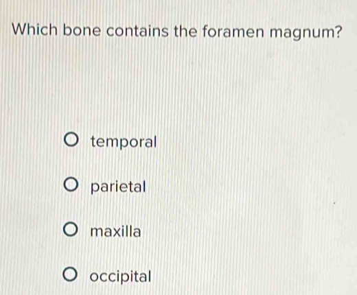 Which bone contains the foramen magnum?
temporal
parietal
maxilla
occipital