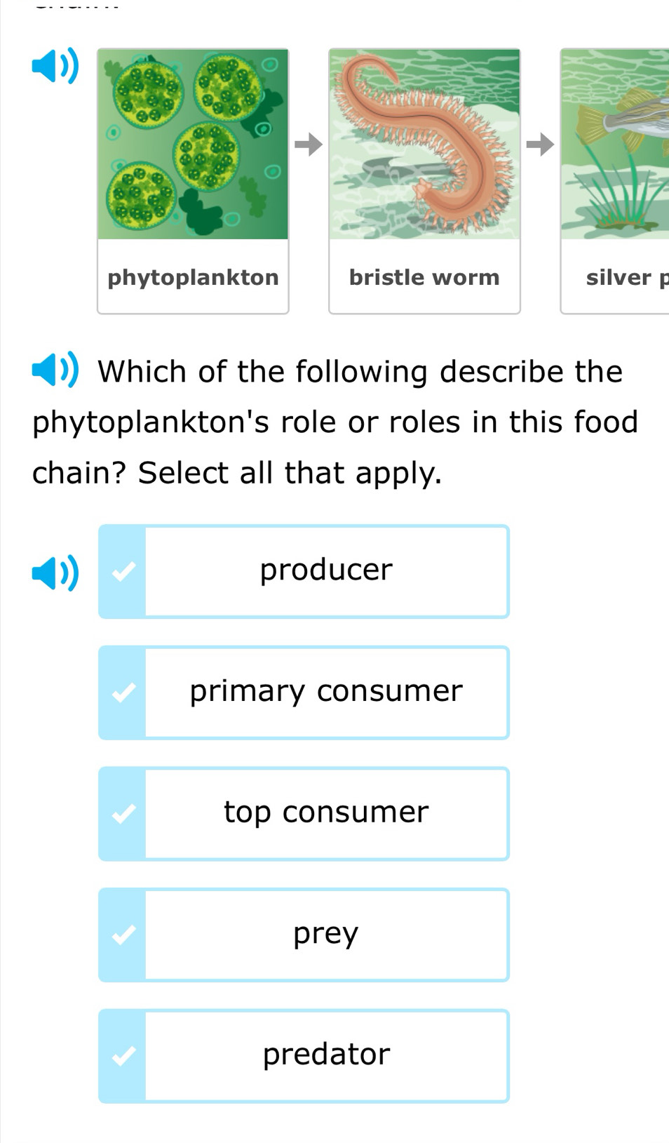 phytoplankton bristle worm silver p
Which of the following describe the
phytoplankton's role or roles in this food
chain? Select all that apply.
producer
primary consumer
top consumer
prey
predator