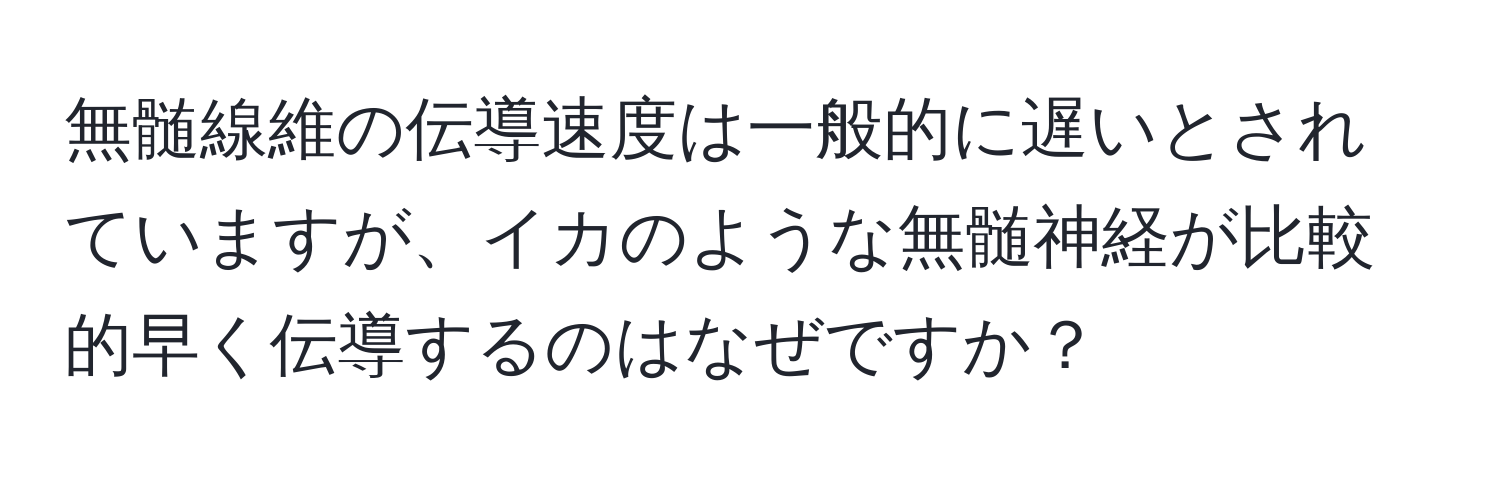 無髄線維の伝導速度は一般的に遅いとされていますが、イカのような無髄神経が比較的早く伝導するのはなぜですか？