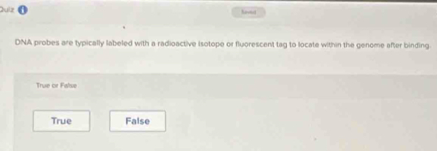 DNA probes are typically labeled with a radioactive (sotope or fluorescent tag to locate within the genome after binding.
True or False
True False