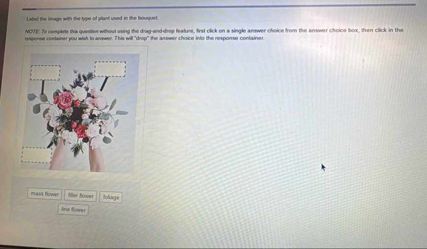 Label the image with the type of plant used in the bouquet.
NOTE: To complete this question without using the drag-and-drop feature, first click on a single answer choice from the answer choice box, then click in the
response container you wish to answer. This will "drop" the answer choice into the response container.
mass flower filler flower foliage
line flower