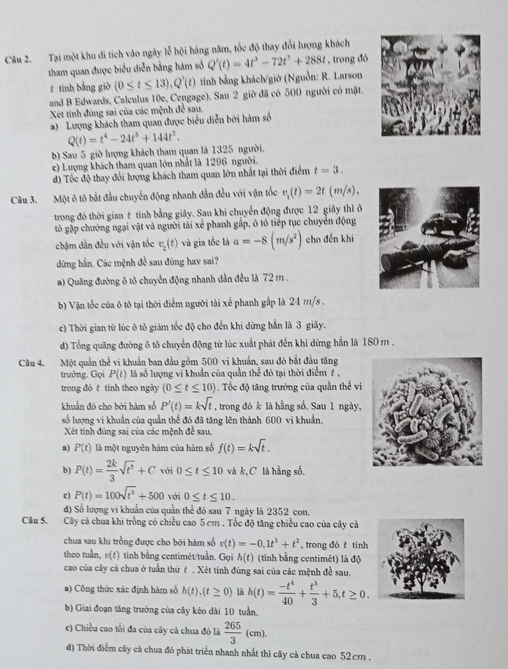 Tại một khu di tích vào ngày lễ hội hàng năm, tốc độ thay đổi lượng khách
tham quan được biểu diễn bằng hàm số Q'(t)=4t^3-72t^2+288t , trong đó
tính bằng giờ (0≤ t≤ 13),Q'(t) tính bằng khách/giờ (Nguồn: R. Larson
and B Edwards, Caleulus 10e, Cengage). Sau 2 giờ đã có 500 người có mặt.
Xét tính đúng sai của các mệnh đề sau.
a) Lượng khách tham quan được biểu diễn bởi hàm số
Q(t)=t^4-24t^3+144t^2.
b) Sau 5 giờ lượng khách tham quan là 1325 người.
c) Lượng khách tham quan lớn nhất là 1296 người.
d) Tốc độ thay đổi lượng khách tham quan lớn nhất tại thời điểm t=3.
Câu 3. Một ô tô bắt đầu chuyển động nhanh dần đều với vận tốc v_1(t)=2t(m/s),
trong đó thời gian t tinh bằng giây. Sau khi chuyển động được 12 giây thì ô
tô gặp chướng ngại vật và người tải xế phanh gấp, ô tô tiếp tục chuyển động
chậm dần đều với vận tốc v_2(t) và gia tốc là a=-8(m/s^2) cho đến khi
dừng hẳn. Các mệnh đề sau đúng hay sai?
a) Quãng đường ô tô chuyển động nhanh dần đều là 72 m .
b) Vận tốc của ô tô tại thời điểm người tài xể phanh gắp là 24 m/s .
c) Thời gian từ lúc ô tô giảm tốc độ cho đến khi dừng hẳn là 3 giây.
d) Tổng quãng đường ô tô chuyển động từ lúc xuất phát đến khi dừng hẵn là 180 m .
Câu 4. Một quần thể vi khuẩn ban đầu gồm 500 vi khuẩn, sau đó bắt đầu tăng
trưởng. Gọi P(t) là số lượng vi khuẩn của quần thể đó tại thời điểm / ,
trong đô t tỉnh theo ngày (0≤ t≤ 10). Tốc độ tăng trưởng của quần thể vi
khuẩn đó cho bởi hàm số P'(t)=ksqrt(t) , trong đó k là hầng số. Sau 1 ngày,
số lượng vi khuẩn của quần thể đó đã tăng lên thành 600 vì khuẩn.
Xét tính đúng sai của các mệnh đề sau.
a) P(t) là một nguyên hàm của hàm số f(t)=ksqrt(t).
b) P(t)= 2k/3 sqrt(t^3)+C với 0≤ t≤ 10 và k,C là hằng số.
c) P(t)=100sqrt(t^3)+500 với 0≤ t≤ 10.
d) Số lượng vi khuần của quần thể đó sau 7 ngày là 2352 con.
Câu 5. Cây cả chua khi trồng có chiều cao 5 cm . Tốc độ tăng chiều cao của cây cả
chua sau khi trồng được cho bởi hàm số v(t)=-0,1t^3+t^2 , trong đó t tính
theo tuần, v(t) tính bằng centimét/tuần. Gọi h(t) (tính bằng centimét) là độ
cao của cây cà chua ở tuần thử t . Xét tính đúng sai của các mệnh đề sau.
a) Công thức xác định hàm số h(t),(t≥ 0) là h(t)= (-t^4)/40 + t^3/3 +5,t≥ 0.
b) Giai đoạn tăng trưởng của cây kéo dài 10 tuần.
c) Chiều cao tối đa của cây cà chua đó là  265/3 (cm).
d) Thời điểm cây cả chua đó phát triển nhanh nhất thì cây cà chua cao 52 cm .