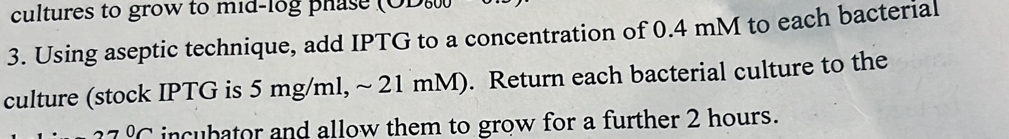 cultures to grow to mid-log phase (ODε 
3. Using aseptic technique, add IPTG to a concentration of 0.4 mM to each bacterial 
culture (stock IPTG is 5 mg/ml, ~ 21 mM). Return each bacterial culture to the
270C incubator and allow them to grow for a further 2 hours.