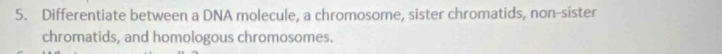 Differentiate between a DNA molecule, a chromosome, sister chromatids, non-sister 
chromatids, and homologous chromosomes.