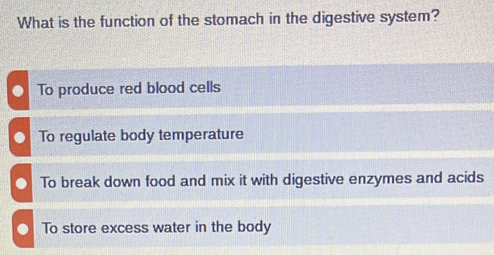 What is the function of the stomach in the digestive system?
To produce red blood cells
To regulate body temperature
To break down food and mix it with digestive enzymes and acids
To store excess water in the body