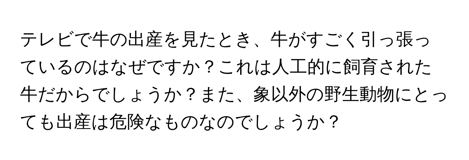 テレビで牛の出産を見たとき、牛がすごく引っ張っているのはなぜですか？これは人工的に飼育された牛だからでしょうか？また、象以外の野生動物にとっても出産は危険なものなのでしょうか？