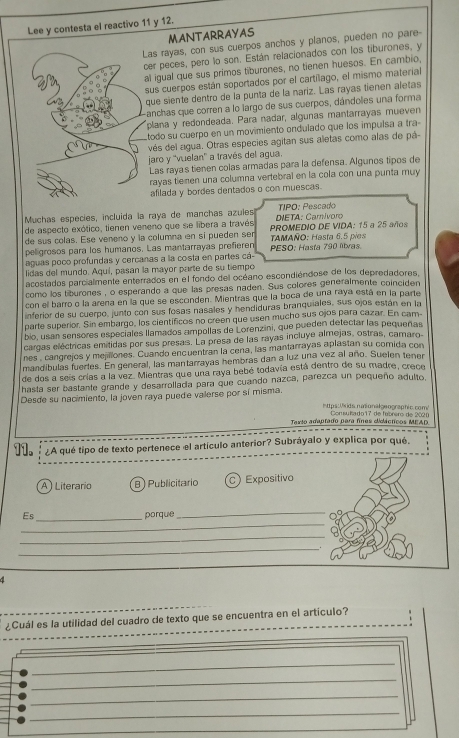 Lee y contesta el reactivo 11 y 12.
MANTARRAYAS
as rayas, con sus cuerpos anchos y planos, pueden no pare-
er peces, pero lo son. Están relacionados con los tiburones, y
l igual que sus primos tiburones, no tienen huesos. En cambio,
sus cuerpos están soportados por el cartílago, el mismo material
que siente dentro de la punta de la nariz. Las rayas tienen aletas
anchas que corren a lo largo de sus cuerpos, dándoles una forma
plana y redondeada. Para nadar, algunas mantarrayas mueven
todo su cuerpo en un movimiento ondulado que los impulsa a tra
vés del agua. Otras especies agitan sus aletas como alas de pá
jaro y 'vuelan'' a través del agua.
Las rayas tienen colas armadas para la defensa. Algunos tipos de
rayas tiemen una columna vertebral en la cola con una punta muy
afilada y bordes dentados o con muescas.
Muchas especies, incluida la raya de manchas azules TIPO: Pescado
de aspecto exótico, tienen veneno que se libera a través DIETA: Carivoro
de sus colas. Ese veneno y la columna en si pueden sen  PROMEDIO DE VIDA: 15 a 25 años
peligrosos para los humanos. Las mantarrayas prefieren PESO: Hasta 790 litvas.  TAMAñO: Hasta 6.5 pies
aguas poco profundas y cercanas a la costa en partes cá
lidas del mundo. Aquí, pasan la mayor parte de su tiempo
acostados parcialmente enterrados en el fondo del océano escondiéndose de los depredadores,
como los tiburones , o esperando a que las presas naden. Sus colores generalmente coinciden
con el barro o la arena en la que se esconden. Mientras que la boca de una raya está en la parte
inferior de su cuerpo, junto con sus fosas nasales y hendiduras branquiales, sus ojos están en la
parte superior. Sin embargo, los científicos no creen que usen mucho sus ojos para cazar. En cam-
bio, usan sensores especiales llamados ampollas de Lorenzini, que pueden detectar las pequeñas
cargas eléctricas emitidas por sus presas. La presa de las rayas incluye almejas, ostras, camaro-
nes, cangrejos y mejillones. Cuando encuentran la cena, las mantarrayas aplastan su comida con
mandíbulas fuerles. En general, las mantarrayas hembras dan a luz una vez al año. Suelen tenen
de dos a seis crías a la vez. Mientras que una raya bebé todavía está dentro de su madre, crece
hasta ser bastante grande y desarrollada para que cuando nazca, parezca un pequeño adulto,
Desde su nacimiento, la joven raya puede valerse por sí misma
hps: kids naionalgeographic.com!
Taxto adaptado para fínes didácticos MEAD  Comsuisado 17 de fabrero de 202 0
11. ¿A qué tipo de texto pertenece el artículo anterior? Subráyalo y explica por qué.
A ) Literario B )Publicitario C Expositivo
_
_
Es _porque
_
_
d
¿Cuál es la utilidad del cuadro de texto que se encuentra en el artículo?
_
_
_
_
_
_