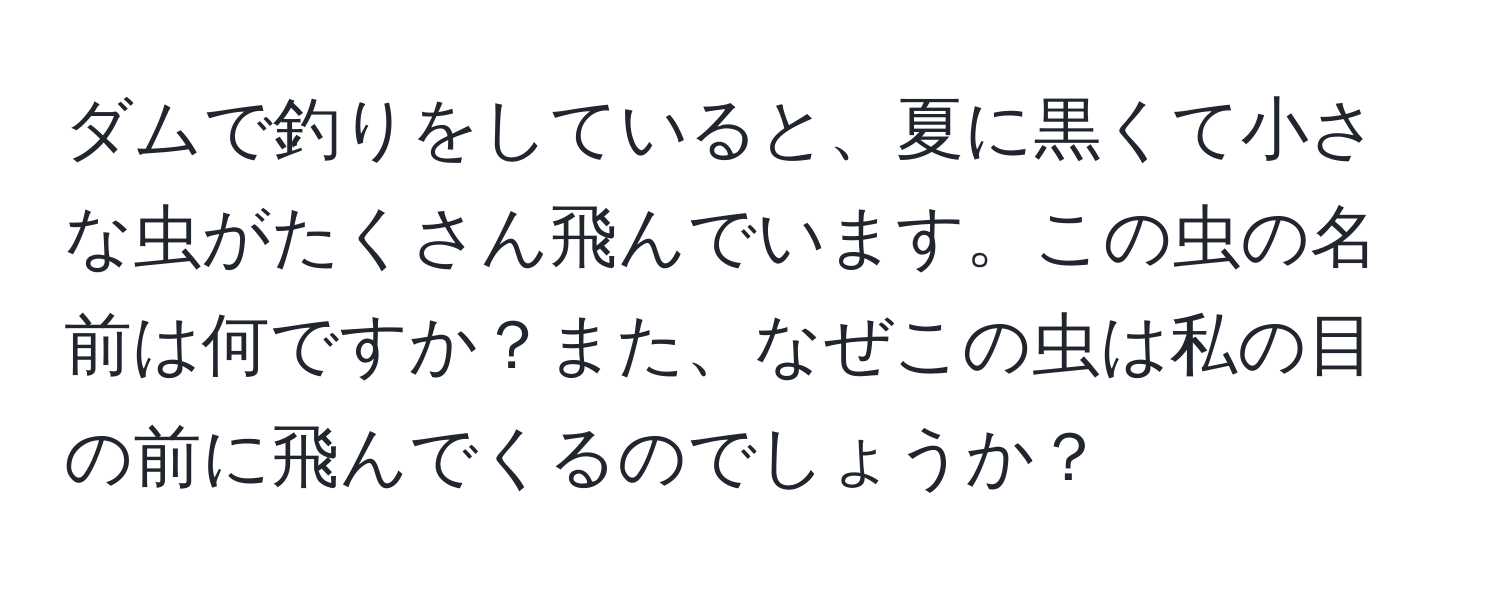 ダムで釣りをしていると、夏に黒くて小さな虫がたくさん飛んでいます。この虫の名前は何ですか？また、なぜこの虫は私の目の前に飛んでくるのでしょうか？