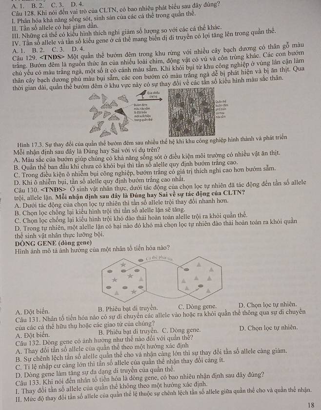 A. 1. B. 2. C. 3. D. 4.
Câu 128. Khi nói đến vai trò của CLTN, có bao nhiêu phát biểu sau đây đúng?
I. Phân hóa khả năng sống sót, sinh sản của các cá thể trong quần thể.
II. Tần số allele có hại giảm dẫn.
III. Những cá thể có kiểu hình thích nghi giảm số lượng so với các cá thể khác.
IV. Tần sổ allele và tần số kiểu gene ở cá thể mang biên đị di truyền có lợi tăng lên trong quần thể.
A. 1. B. 2. C. 3. D. 4.
Câu 129. ∠ TNDS> Một quần thể bướm đệm trong khu rừng với nhiều cây bạch dương có thân gỗ màu
trắng. Bướm đêm là nguồn thức ăn của nhiều loài chim, động vật có vú và côn trùng khác. Các con bướm
chủ yếu có màu trắng ngà, một số ít có cánh màu sảm. Khi khói bụi từ khu công nghiệp ở vùng lần cận làm
thân cây bạch dương phủ màu bụi sẵm, các con bướm có màu trắng ngả dễ bị phát hiện và bị ăn thịt. Qua
thời gian dài, quần thể bướm đêm ở khu vực này có sự thay đổi về các tần số kiểu hình màu sắc thân.
Qua ntriều Lhể hạ
đướm đèm
más nàu săm là đột biển
, trong quân thế môi xuất hện
Hình 17.3. Sự thay đổi của quần thể bướm đêm sau nhiều thế hệ khi khu công nghiệp hình thành và phát triển
Mỗi nhận định sau đây là Đúng hay Sai với ví dụ trên?
A. Màu sắc của bướm giúp chúng có khả năng sống sót ở điều kiện môi trường có nhiều vật ăn thịt.
B. Quần thể ban đầu khi chưa có khói bụi thì tần số alelle quy định bướm trắng cao.
C. Trong điều kiện ô nhiễm bụi công nghiệp, bướm trắng có giá trị thích nghi cao hơn bướm sảm.
D. Khi ô nhiễm bụi, tần số alelle quy định bướm trắng cao nhất.
Câu 130. ∠ T NĐS> Ở sinh vật nhân thực, dưới tác động của chọn lọc tự nhiên đã tác động đến tần số allele
trội, allele lặn. Mỗi nhận định sau đây là Đúng hay Sai về sự tác động của CLTN?
A. Dưới tác động của chọn lọc tự nhiên thì tần số allele trội thay đổi nhanh hơn.
B. Chọn lọc chống lại kiểu hình trội thì tần số alelle lặn sẽ tăng.
C. Chọn lọc chổng lại kiểu hình trội khó đảo thải hoàn toàn alelle trội ra khỏi quần thể.
D. Trong tự nhiên, một alelle lặn có hại nào đó khó mả chọn lọc tự nhiên đảo thải hoàn toàn ra khỏi quần
thể sinh vật nhân thực lưỡng bội.
DÒNG GENE (dòng gene)
Hình ảnh mô tả ảnh hưởng của một nhân tổ tiến hóa nào?
A. Đột biển. B. Phiêu bạt di truyền. C. Dòng gene. D. Chọn lọc tự nhiên.
Câu 131. Nhân tổ tiến hóa nào có sự di chuyển các allele vào hoặc ra khỏi quần thể thông qua sự di chuyển
của các cá thể hữu thụ hoặc các giao từ của chúng?
A. Đột biển. B. Phiêu bạt di truyền. C. Dòng gene. D. Chọn lọc tự nhiên.
Câu 132. Dòng gene có ảnh hưởng như thể nào đổi với quần thể?
A. Thay đổi tần số allele của quần thể theo một hướng xác định
B. Sự chênh lệch tần số alelle quần thể cho và nhận cảng lớn thì sự thay đổi tần số allele cảng giảm.
C. Tỉ lệ nhập cư cảng lớn thi tần số allele của quần thể nhận thay đổi càng ít.
D. Dòng gene làm tăng sự đa dạng di truyền của quần thể.
Câu 133. Khi nói đến nhân tố tiến hóa là dòng gene, có bao nhiêu nhận định sau đây đúng?
I. Thay đổi tần số allele của quần thể không theo một hướng xác định.
II. Mức độ thay đổi tần số allele của quần thể lệ thuộc sự chênh lệch tần số allele giữa quần thể cho và quần thể nhận.
18