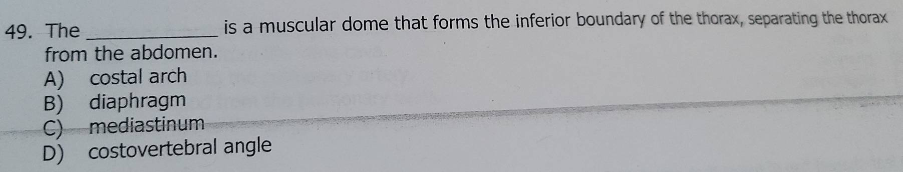 The _is a muscular dome that forms the inferior boundary of the thorax, separating the thorax
from the abdomen.
A) costal arch
B) diaphragm
C) mediastinum
D) costovertebral angle