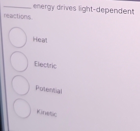 energy drives light-dependent
reactions.
Heat
Electric
Potential
Kinetic