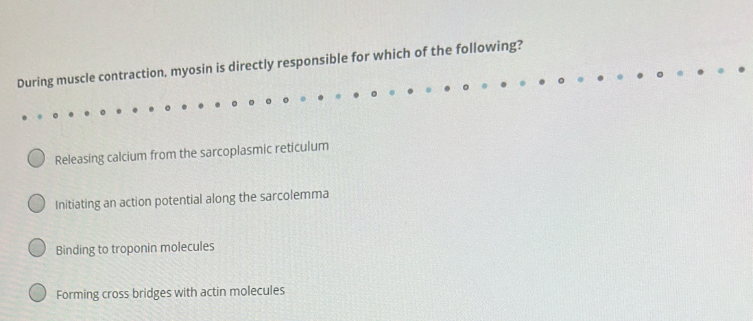 During muscle contraction, myosin is directly responsible for which of the following?
Releasing calcium from the sarcoplasmic reticulum
Initiating an action potential along the sarcolemma
Binding to troponin molecules
Forming cross bridges with actin molecules