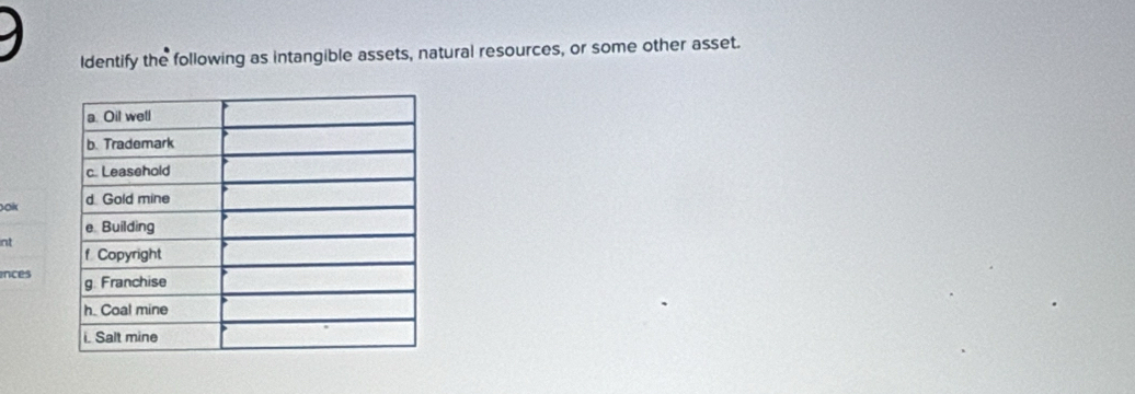 ldentify the following as intangible assets, natural resources, or some other asset. 
ok 
int 
inces