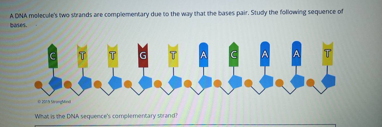 A DNA molecule’s two strands are complementary due to the way that the bases pair. Study the following sequence of 
bases. 
What is the DNA sequence's complementary strand?