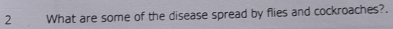 What are some of the disease spread by flies and cockroaches?.