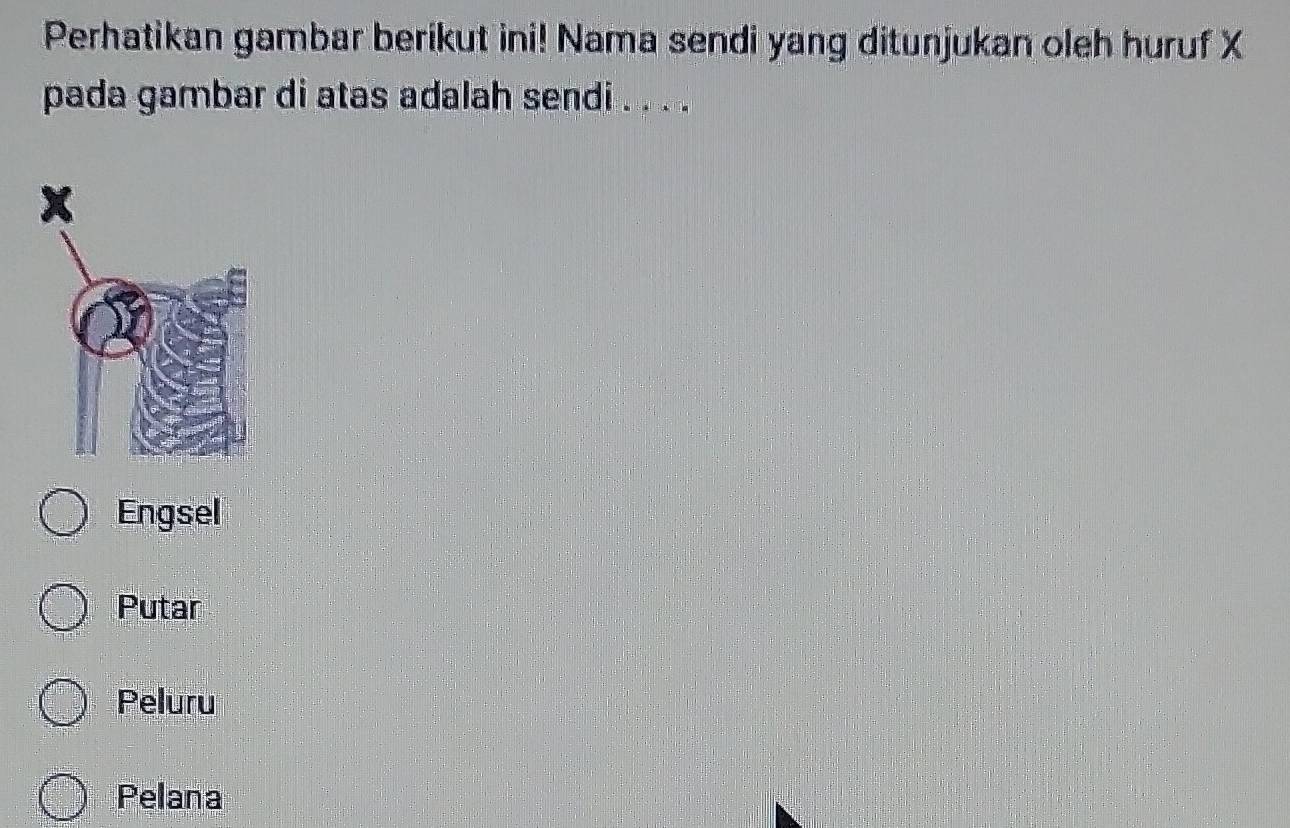 Perhatikan gambar berikut ini! Nama sendi yang ditunjukan oleh huruf X
pada gambar di atas adalah sendi . . . .
Engsel
Putar
Peluru
Pelana