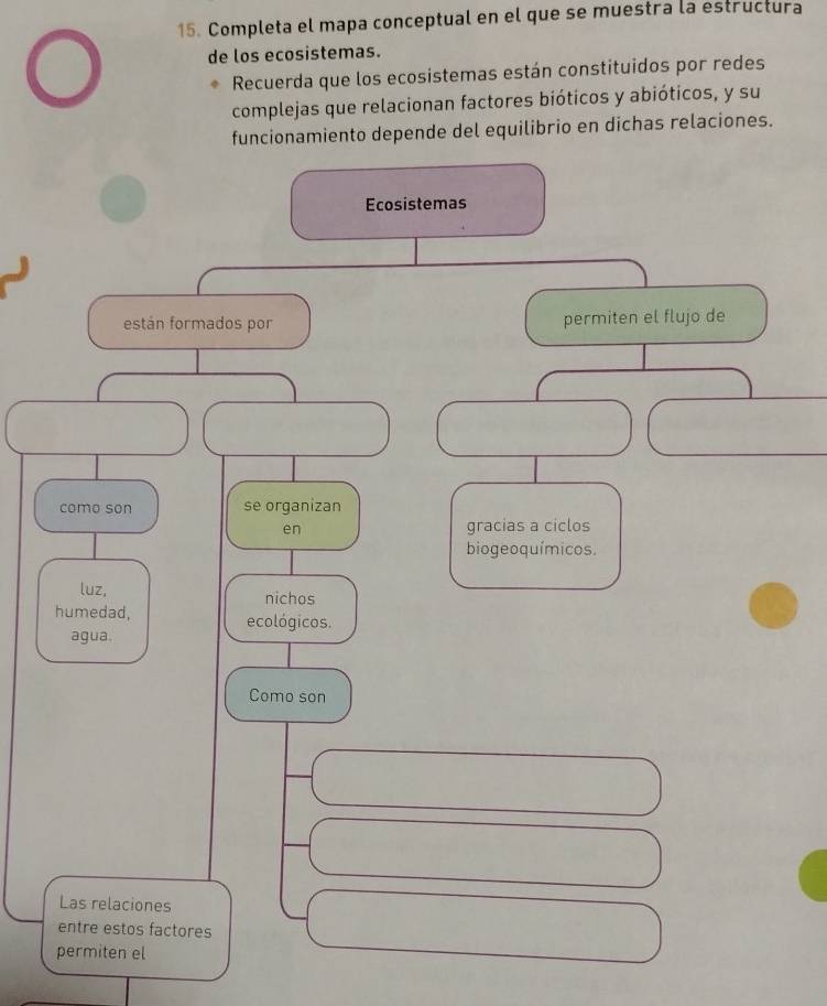 Completa el mapa conceptual en el que se muestra la estructura 
de los ecosistemas. 
Recuerda que los ecosistemas están constituidos por redes 
complejas que relacionan factores bióticos y abióticos, y su 
funcionamiento depende del equilibrio en dichas relaciones. 
Ecosistemas 
están formados por permiten el flujo de 
como son se organizan 
en gracias a ciclos 
biogeoquímicos. 
luz, nichos 
humedad, ecológicos. 
agua. 
Como son 
Las relaciones 
entre estos factores 
permiten el