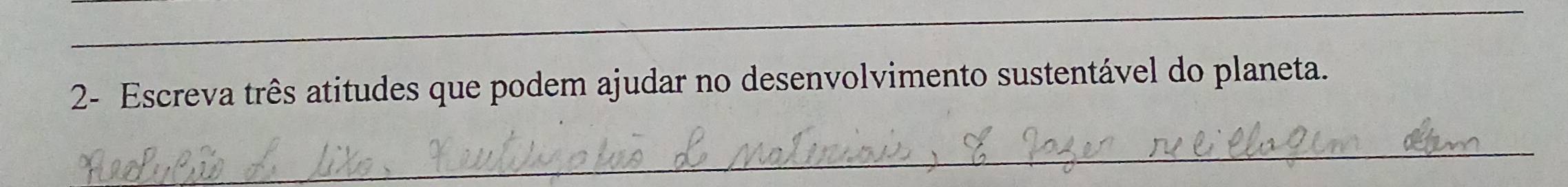 2- Escreva três atitudes que podem ajudar no desenvolvimento sustentável do planeta. 
_