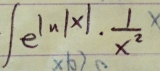 ∈t e^(ln |x|)·  1/x^2 x