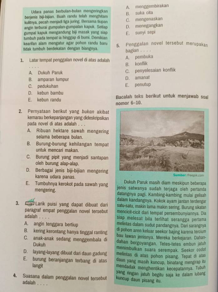 Udara panas berbulan-bulan mengeringkan A. menggembirakan
berjenis biji-bijian. Buah randu telah menghitam B. suka cita
kulitnya, pecah menjadi tiga juring. Bersama tiupan C. mengenaskan
angin terburai gumpalan-gumpalan kapuk. Setiap D. menegangkan
gumpal kapuk mengandung biji masak yang siap
tumbuh pada tempat ia hinggap di bumi. Demikian E. sunyi sepi
kearifan alam mengatur agar pohon randu baru 5. Penggalan novel tersebut merupakan
tidak tumbuh berdekatan dengan biangnya. bagian . . . .
1. Latar tempat penggalan novel di atas adalah A. pembuka
B. konflik
A. Dukuh Paruk C. penyelesaian konflik
B. amparan lumpur D. amanat
C. pedukuhan E. penutup
D. kebun bambu
Bacalah teks berikut untuk menjawab soal
E. kebun randu
nomor 6---10.
2. Pernyataan berikut yang bukan akibat
kemarau berkepanjangan yang dideskripsikan
pada novel di atas adalah . . .
A. Ribuan hektare sawah mengering
selama beberapa bulan.
B. Burung-burung kehilangan tempat
untuk mencari makan.
C. Burung pipit yang menjadi santapan
oleh burung alap-alap.
D. Berbagai jenis biji-bijian mengeringSumber: freepik.com
karena udara panas. Dukuh Paruk masih diam meskipun beberapa
E. Tumbuhnya kerokot pada sawah yang jenis satwanya sudah terjaga oleh pertanda
mengering. datangnya pagi. Kambing-kambing mulai gelisah
dalam kandangnya. Kokok ayam jantan terdengar
3. CD Larik puisi yang dapat dibuat dari satu-satu, makin lama makin sering. Burung sikatan
paragraf empat penggalan novel tersebut mencicit-cicit dari tempat persembunyiannya. Dia
adalah siap melesat bila terlihat serangga pertama
A. angin tenggara bertiup melintas dalam sudut pandangnya. Dari sarangnya
di pohon aren keluar seekor bajing karena tercium
B. kering kerontang hanya tinggal ranting bau lawan jenisnya. Mereka berkejaran. Dahan-
C. anak-anak sedang menggembala di dahan bergoyangan. Tetes-tetes embun jatuh
Dukuh menimbulkan suara serempak. Seekor codot
D. layang-layang dibuat dari daun gadung melintas di atas pohon pisang. Tepat di atas
E. burung beranjangan terbang di atas daun yang masih kuncup, binatang mengirap itu
langit mendadak menghentikan kecepatannya. Tubuh
yang ringan jatuh begitu saja ke dalam lubang
4. Suasana dalam penggalan novel tersebut kuncup daun pisang itu.
adalah_