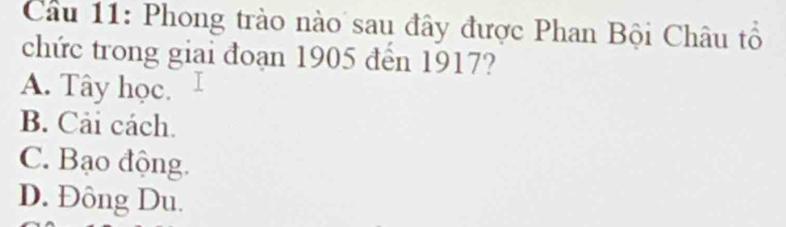 Phong trào nào sau đây được Phan Bội Châu tổ
chức trong giai đoạn 1905 đến 1917?
A. Tây học.
B. Cải cách.
C. Bạo động.
D. Đông Du.