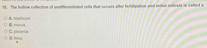 The hollow collection of undifferentiated cells that occurs after fertilization and initial mitosis is called a
A. blastocyst.
B. morula.
C. placenta.
D. fetus.