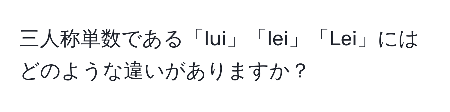 三人称単数である「lui」「lei」「Lei」にはどのような違いがありますか？