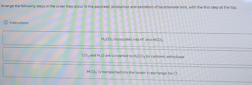 Arrange the following steps in the order they occur in the pancreas' production and secretion of bicarbonate ions, with the first step at the top. 
Instructions
H_2CO_3 dissocimes into H* and HCO_3
CO_2 and H₂O are converted to H_2CO_3 by carbonic anhydrase
HCO_2 ' is transported into the lumen in exchange for Cl