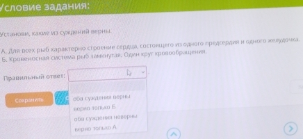 〈словие задания:
Установи, какие из суж/iений верны.
А. для всех рыб характерно строение сердиа, состояшιегоиаσодного предсердияиεодного желудочка
Б. Кровеносная система рыιб замкнутаяе Один κруг кровообрацдения.
Χравильный оτвеτ:
CoxраниTo Oба суλφiвния верны
верно толίло 6
обв суадiени неверны
вернь тоπькo А >
^