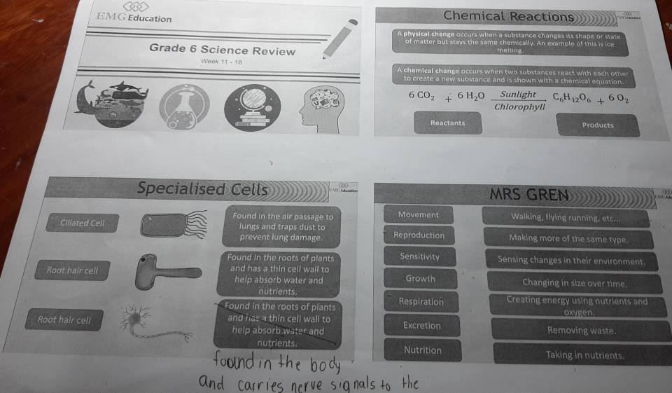 EMG Education
Chemical Reactions
A physical change occurs when a substance changes its shape or state
of matter but stays the same chemically. An example of this is ice
Grade 6 Science Review meiting
Week 11 - 18 A chemical change occurs when two substances react with each other
to create a new substance and is shown with a chemical equation.
6CO_2+6H_2O Sunlight/Chlorophyll C_6H_12O_6+6O_2
Reactants Products
Specialised Cells MRS GREN
Found in the air passage to Movement Walking, flying running, etc...
Ciliated Cell lungs and traps dust to Making more of the same type.
prevent lung damage. Reproduction
Found in the roots of plants Sensitivity Sensing changes in their environment.
Root hair cell and has a thin cell wall to
help absorb water and Growth Changing in size over time.
nutrients.
Found in the roots of plants Respiration Creating energy using nutrients and
oxygen
Root hair cell and has a thin cell wall to Excretion Removing waste.
help absorb water and
nutrients. Nutrition Taking in nutrients