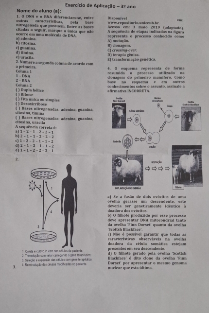 Exercício de Aplicação - 3^9 ano
Nome do aluno (a):
1. O DNA e o RNA diferenciam-se, entre
outras características, pela base Disponível www.repositorio.uniceub.br. em:
nitrogenada que possuem. Entre as bases Acesso em: 3 malo 2019 (adaptado)
citadas a seguir, marque a única que não A sequência de etapas indicadas na figura
a) adenina. ocorre em uma molécula de DNA. A) mutação.  representa o processo conhecido como
b) citosina. c) guanina. C) crossing-over. B) clonagem.
e) uracila. d) timina.
D) terapia gênica.
2. Numere a segunda coluna de acordo com E) transformação genética.
Coluna 1 a primeira 4. O esquema representa de forma
resumida o processo utilizado na
2 - RNA 1 - DNA clonagem do primeiro mamífero. Como
base no esquema e em outros
Coluna 2 conhecimentos sobre o assunto, assinale a
afirmativa INCORRETA.
( ) Dupla hélice ( ) Ribose
( ) Desoxirribose () Fita única ou simples 
( ) Bases nitrogenadas: adenina, guanina,
citosina, tímina
( ) Bases nitrogenadas: adenina, guanina,
A sequência correta é: citosina, uracila
a) 1-2-1-2-2-1
b) 2=1-1=2-2-2
c) 1=2-2-1=1=2
d) 2-1-2-1-1-2
e) 1-1-2-2-2-1
2.
a) Se a fusão de dois ovócitos de uma
ovelha gerasse um descendente, este
doadora dos ovócitos. deveria ser geneticamente idêntico à
b) O filhote produzido por esse processo
deve apresentar DNA mitocondrial tanto
da ovelha 'Finn Dorset' quanto da ovelha
'Scottsh Blackface'.
c) Não é possível garantir que todas as
características observáveis na ovelha
doadora da célula somática estejam
1. Coleta e cultivo in vitro das células do paciente presentes em seu descendente.
2. Transdução com vetor carregando o gene terapêutico: d) O filhote gerado pela ovelha 'Scottsh
3. Seleção e expansão das células com gene terapêutico;  Blackface' é dito clone da ovelha 'Finn
3.  4. Reintrodução das células modificadas no paciente nuclear que esta última. Dorset' por apresentar o mesmo genoma