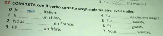 Tu à la maison ? 
17 COMPLETA con il verbo corretto scegliendo tra être, avoir e aller. 
O Je suis_ italien. 
les cheveux longs ? 
1 _un chien. 4 Tu 5 Elle_ blonde. 
2 Nous _en France. 6 Ils _grands. 
3 Ils _un frère. 7 Vous _sympas.