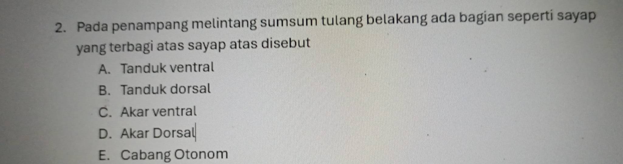 Pada penampang melintang sumsum tulang belakang ada bagian seperti sayap
yang terbagi atas sayap atas disebut
A. Tanduk ventral
B. Tanduk dorsal
C. Akar ventral
D. Akar Dorsal
E. Cabang Otonom