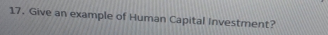 Give an example of Human Capital Investment?