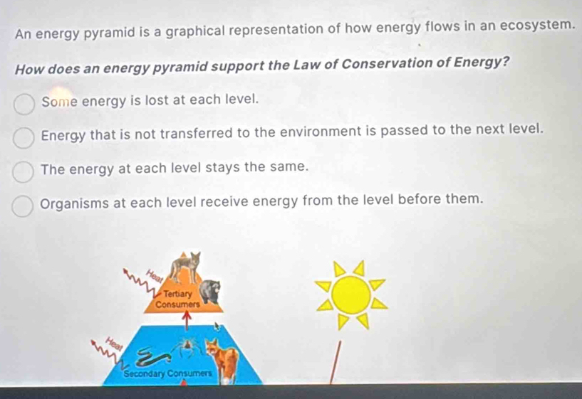Solved: An energy pyramid is a graphical representation of how energy ...