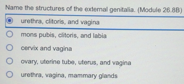 Solved: Name the structures of the external genitalia. (Module 26.8B ...