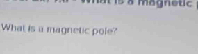 à magnetic 
What is a magnetic pole?