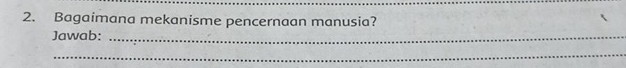 Bagaimana mekanisme pencernaan manusia? 
Jawab:_ 
_