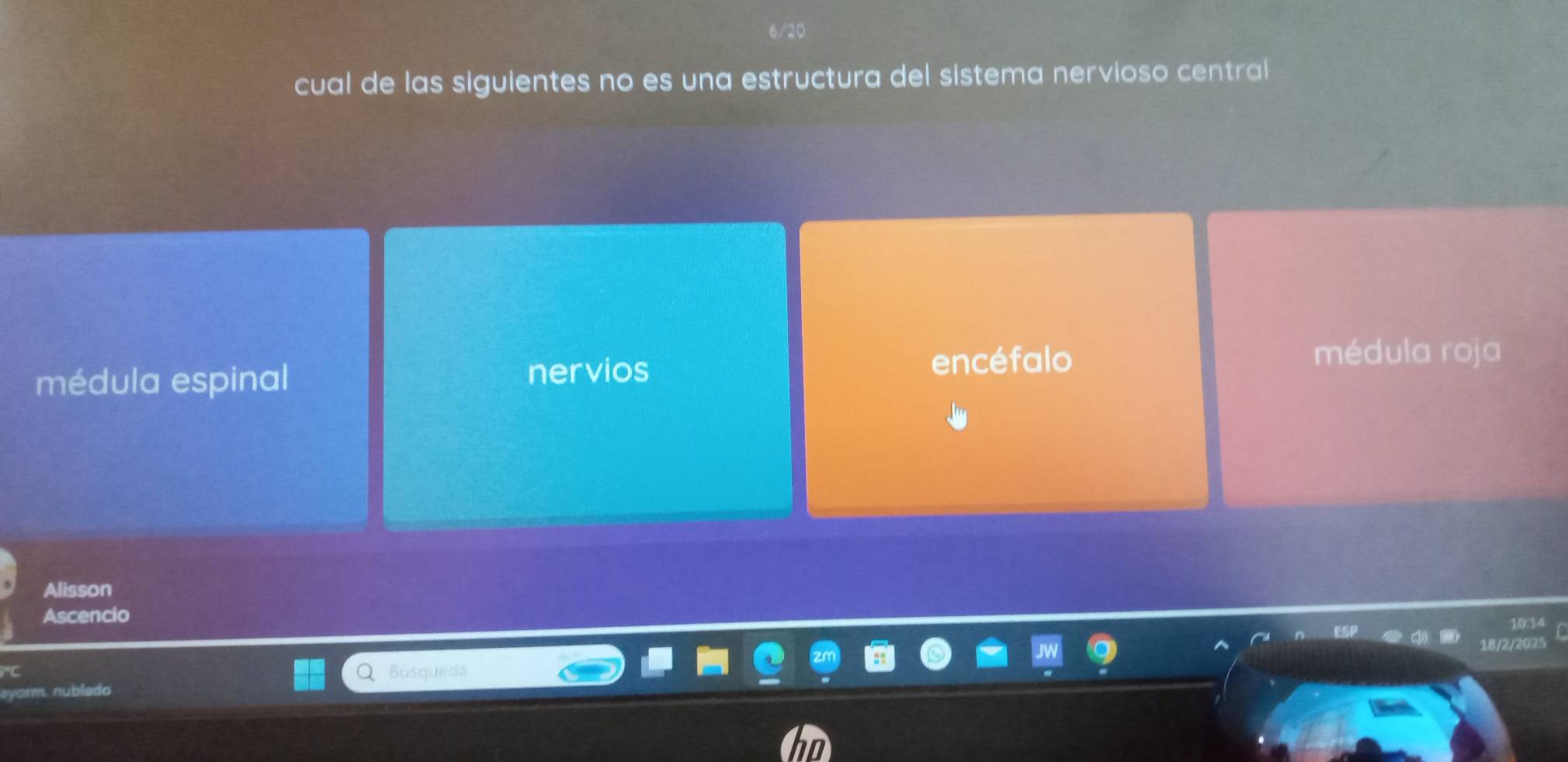 cual de las siguientes no es una estructura del sistema nervioso central
médula espinal nervios
encéfalo médula roja
Alisson
Ascencio
0:14
Busqueda /2/20
ayorm. nublado