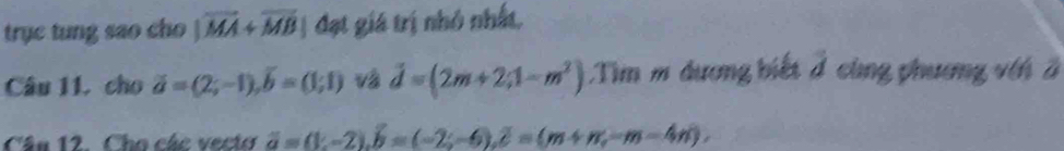 trục tung sao cho |vector MA+vector MB| đạt giá trị nhỏ nhất, 
Câu 11, cho vector a=(2;-1), vector b=(1;1) và vector d=(2m+2;1-m^2) Tìm m dương biết đ cùng phương vớn ở 
Câu 12. Cho các vecto overline a=(1;-2). overline b=(-2;-6), overline c=(m+n;-m-4n),