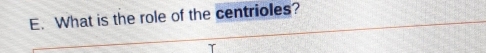 What is the role of the centrioles?