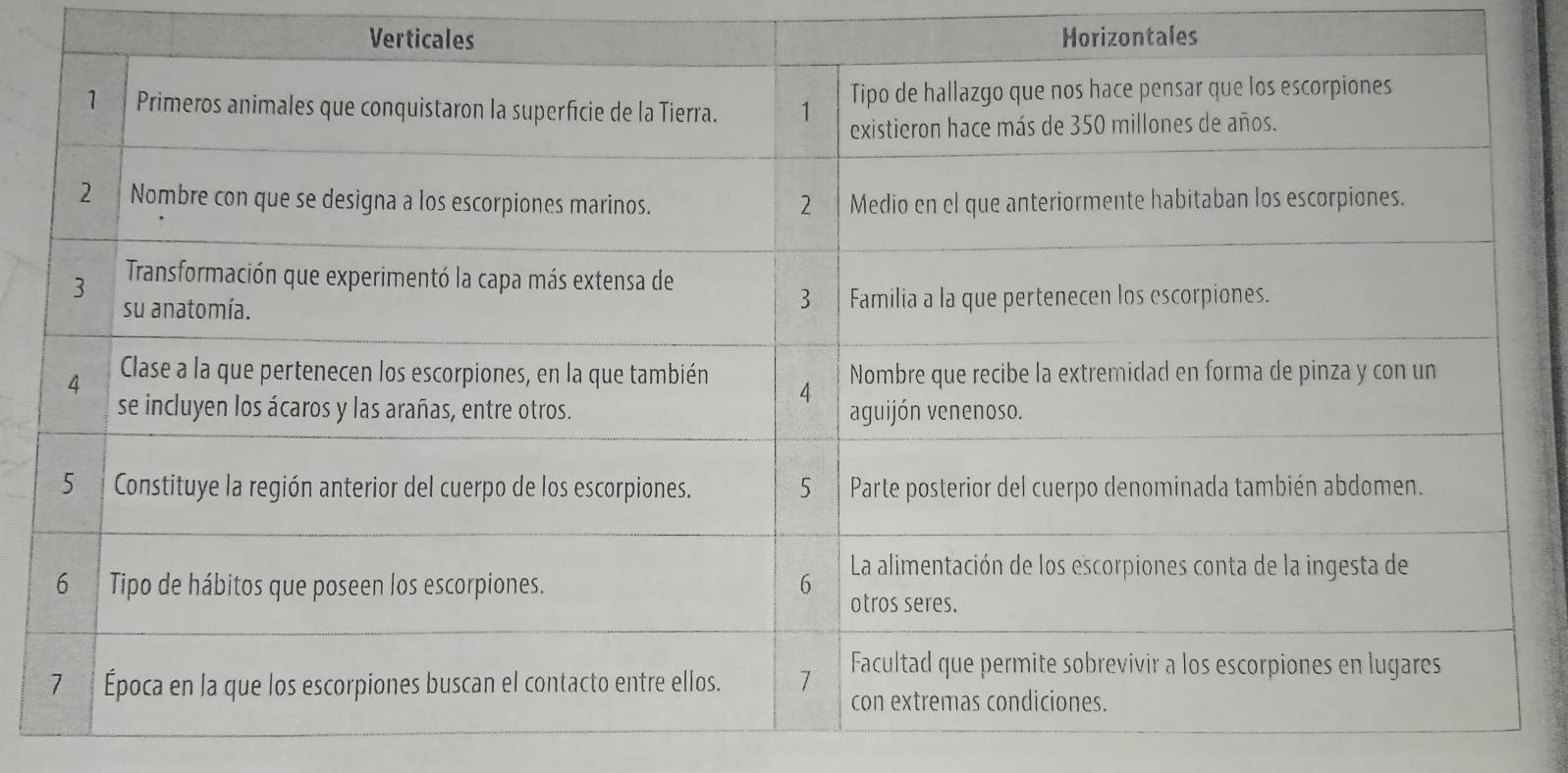 Verticales Horizontales