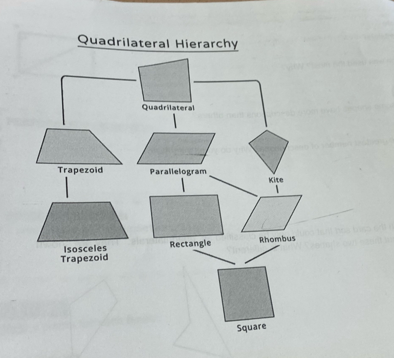 Quadrilateral Hierarchy
Quadrilateral
Trapezoid Parallelogram
Kite
Isosceles Rectangle Rhombus
Trapezoid
Square