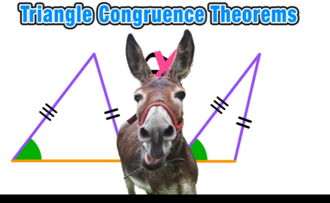 Triangle Congruence Theorems