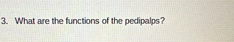 What are the functions of the pedipalps?