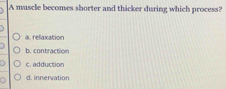 A muscle becomes shorter and thicker during which process?
a. relaxation
b. contraction
c. adduction
d. innervation